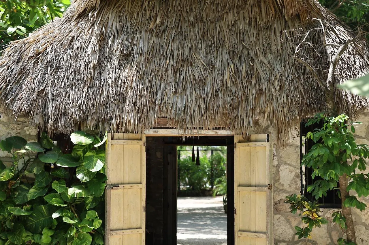 Huaya Camp Apartment Playa del Carmen Mexico