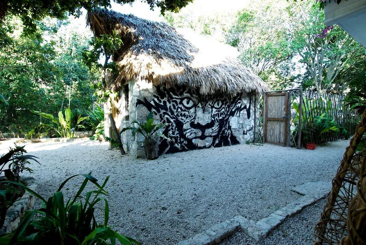 Huaya Camp Apartment Playa del Carmen Mexico