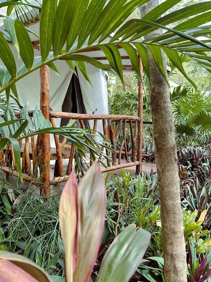 Huaya Camp Apartment Playa del Carmen