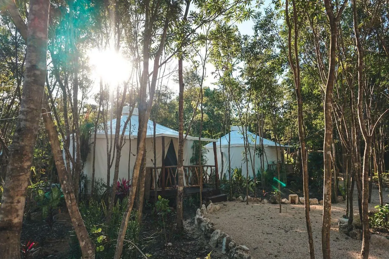 Apartament Huaya Camp Playa del Carmen Meksyk