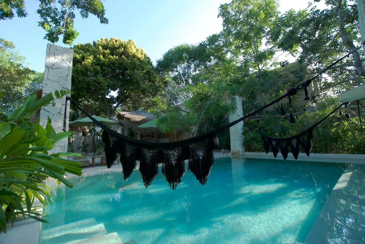 Huaya Camp Apartment Playa del Carmen Mexico